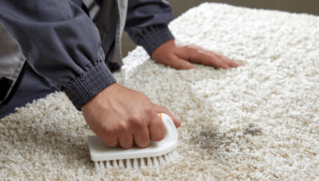 Professional Rug Cleaning Campbellfield